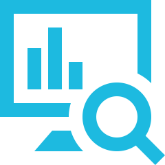 Überwachung Icon