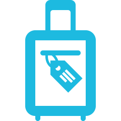 Reise Icon