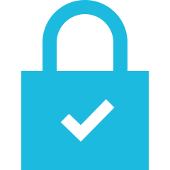 Schloss Icon